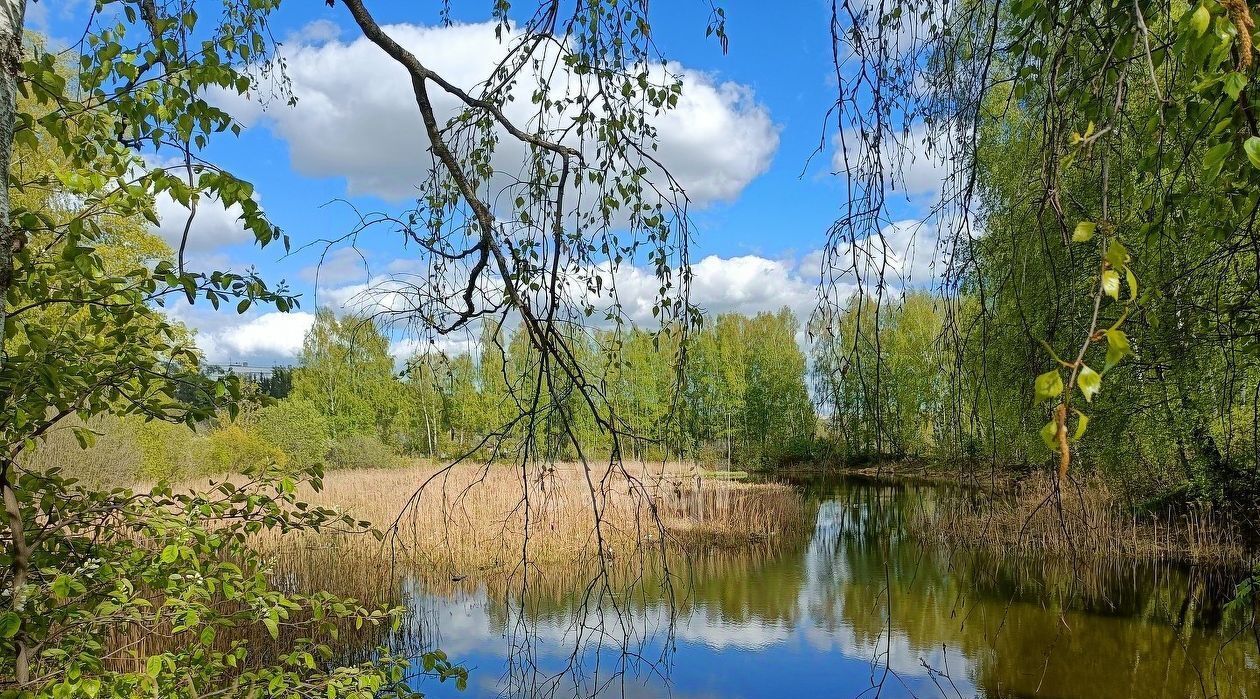 дом г Кострома Прогресс СНТ, 161 фото 11