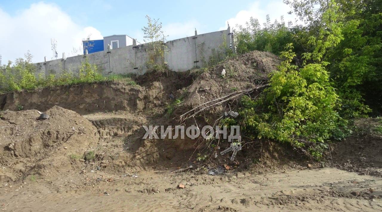 земля р-н Новосибирский Мочищенский сельсовет, Мочище дп, Заельцовская фото 4