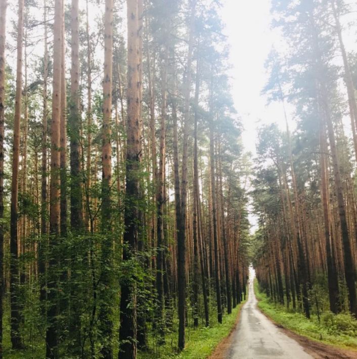 дом г Екатеринбург р-н Чкаловский снт Надежда 36 фото 7