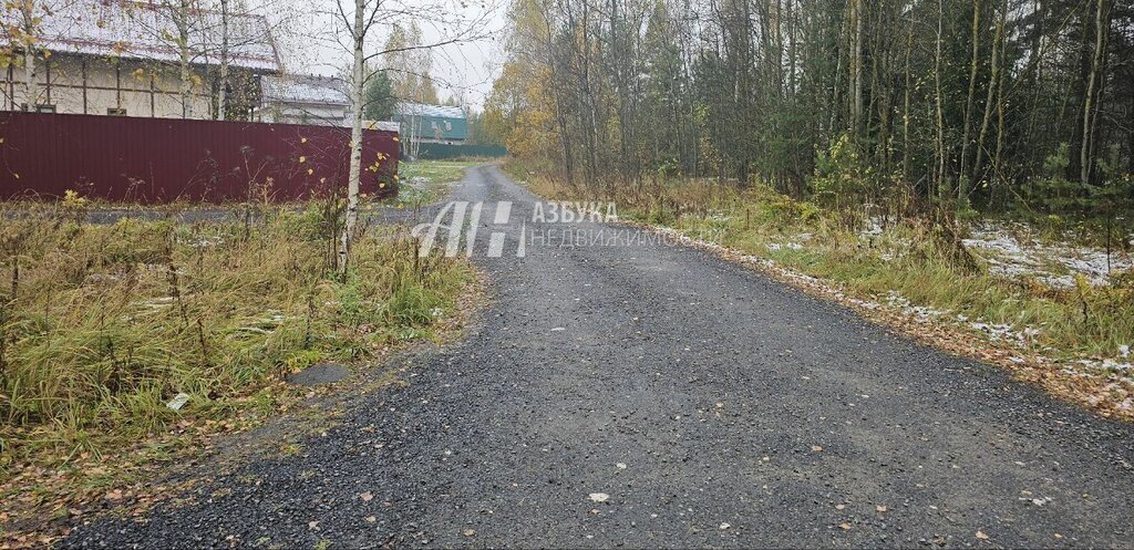 земля городской округ Богородский с Ямкино фото 12