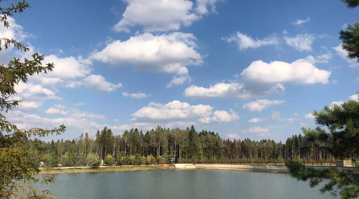 дом городской округ Одинцовский д Семенково Азарово Северное кп, Одинцово, ул. Каштановая, 24 фото 29