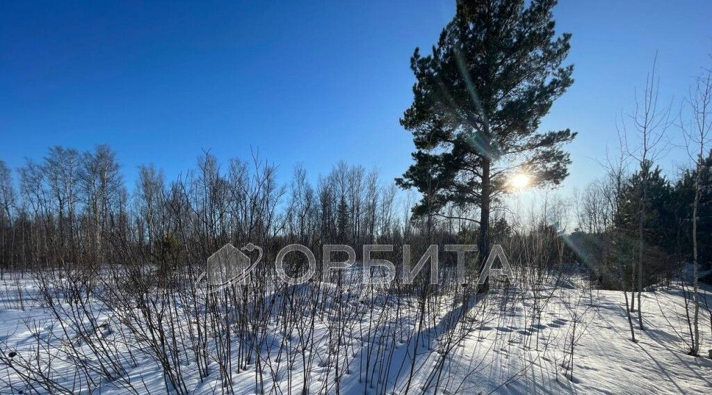 земля р-н Тюменский снт Лесник-2 фото 4