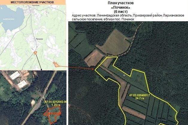 земля р-н Приозерский г Приозерск Трасса Сортавала, 9817 км, Ларионовское сельское поселение фото 10