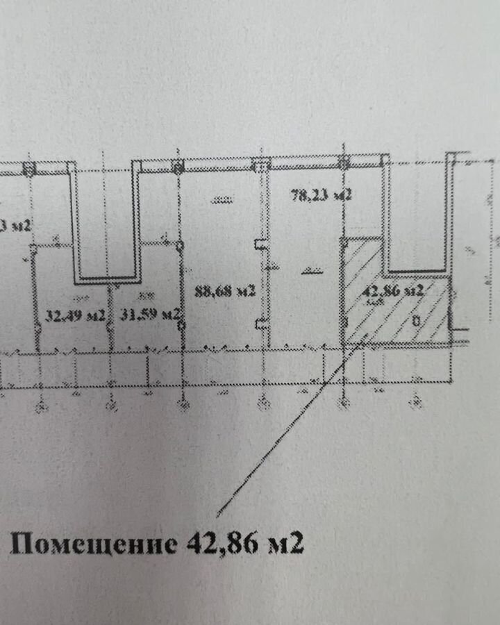 торговое помещение г Новосибирск р-н Заельцовский Заельцовская ул Дуси Ковальчук 89 фото 10