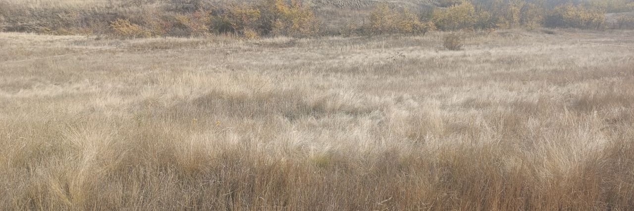 земля р-н Городищенский п Царицын снт Диана ул Лесная Царицынское с/пос фото 11