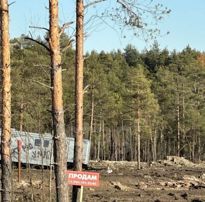 земля р-н Всеволожский днп терСтатус Всеволожское городское поселение фото 1