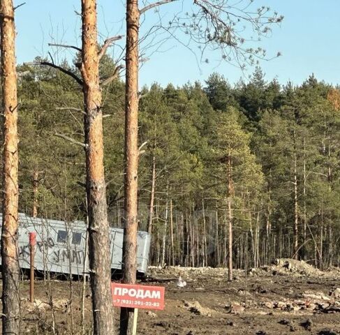 днп терСтатус Всеволожское городское поселение фото