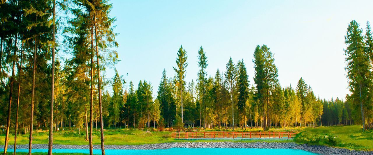 земля городской округ Одинцовский Матрешки Вилладж кп фото 7