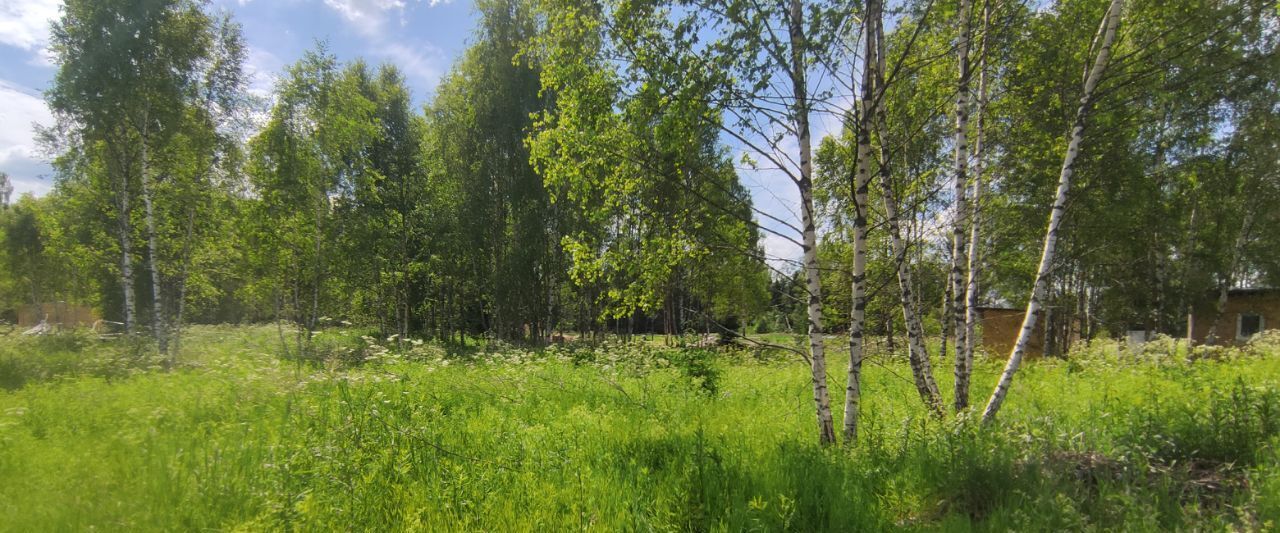 земля городской округ Солнечногорск д Клочково снт Клочково фото 8