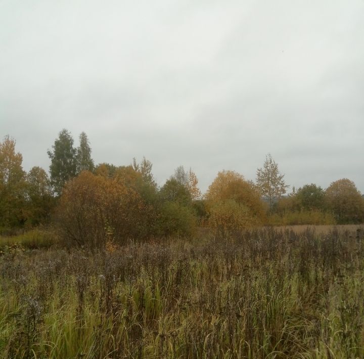 земля городской округ Солнечногорск д Вертлино фото 9