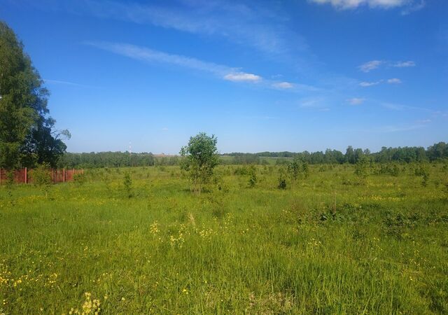 сельское поселение Лопатино, Таруса фото