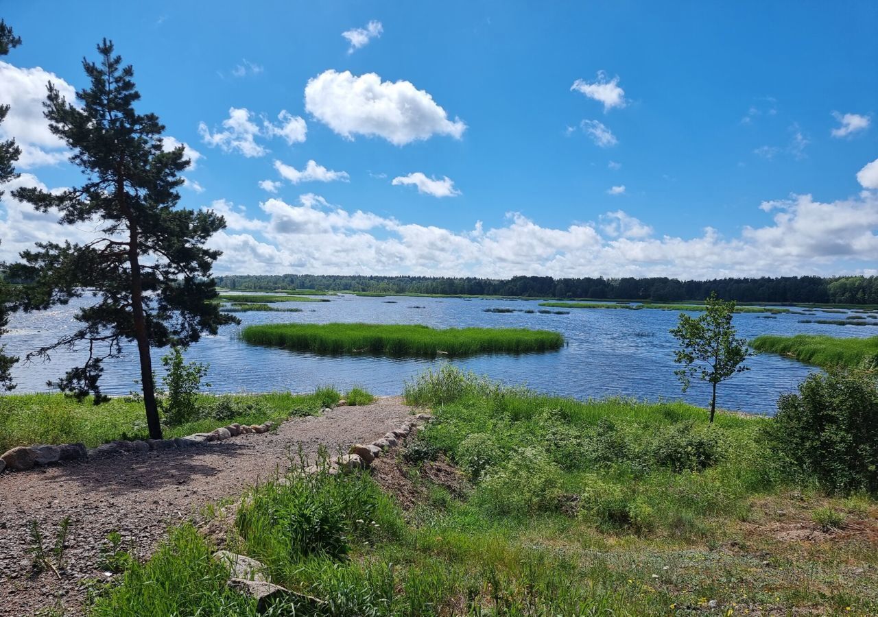 земля р-н Выборгский г Выборг Трасса Скандинавия, 9813 км, Советское городское поселение, садоводческий потребительский кооператив Матросово фото 1