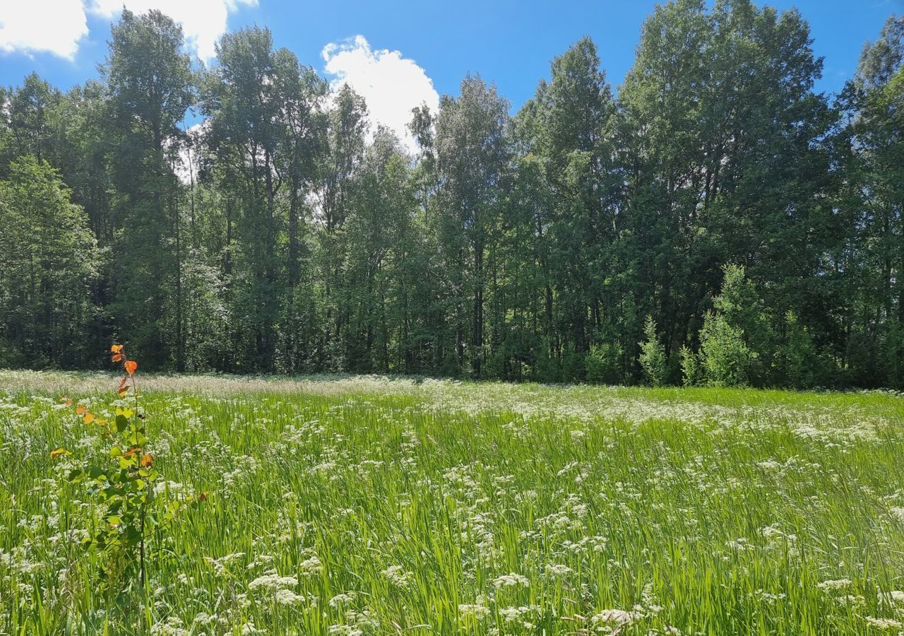 земля р-н Выборгский г Выборг Трасса Скандинавия, 9813 км, Советское городское поселение, садоводческий потребительский кооператив Матросово фото 9