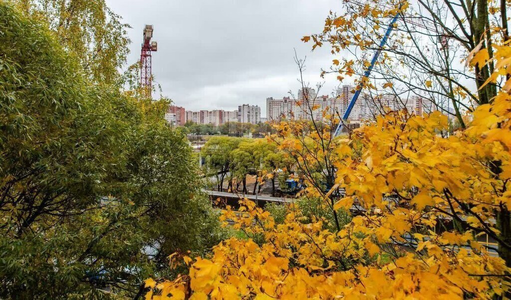 квартира г Санкт-Петербург метро Проспект Просвещения б-р Сиреневый 2к/1 фото 11