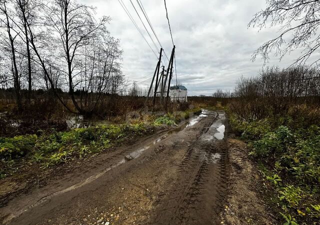 р-н Красносельский с Подольское Красное-на-Волге фото