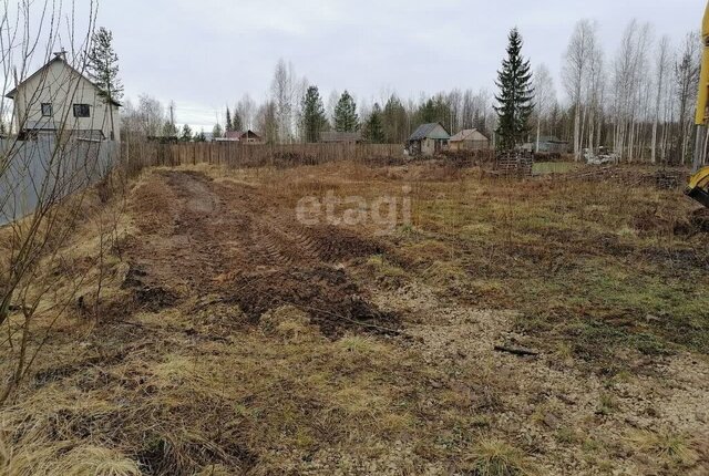 муниципальное образование Выльгорт, садоводческое товарищество Лесное-2 фото