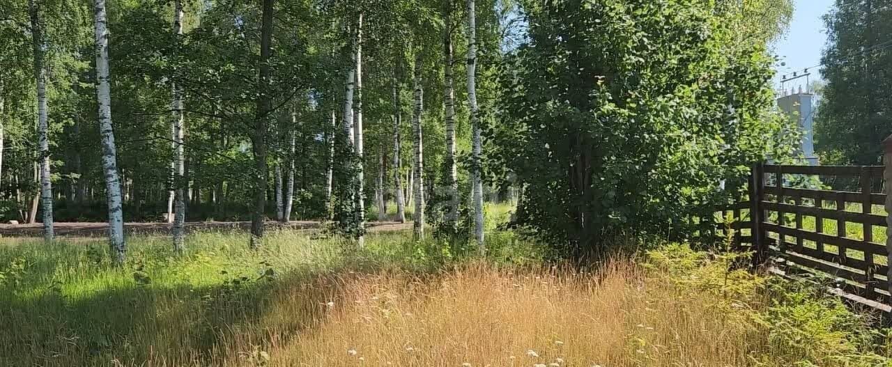 земля р-н Приозерский д Светлое Трасса Сортавала, 9782 км, Красноозёрное сельское поселение, коттеджный пос. Лесная гавань, 16, Коробицыно фото 8