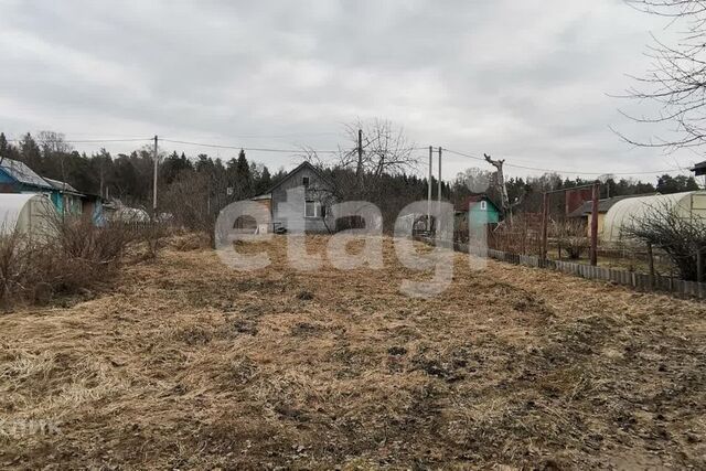 Сосновоборский городской округ, Сосновый Бор фото