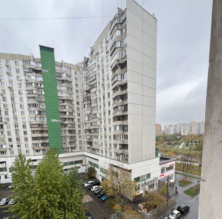 квартира г Москва метро Братиславская ул Братиславская 14 фото 34