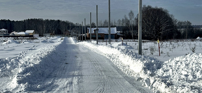 земля городской округ Домодедово Новое Ильинское фото 2