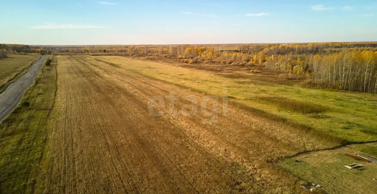 земля р-н Тюменский с Салаирка Тюмень фото 2