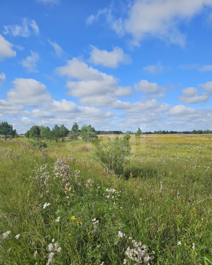 земля р-н Тюменский с Салаирка Тюмень фото 6