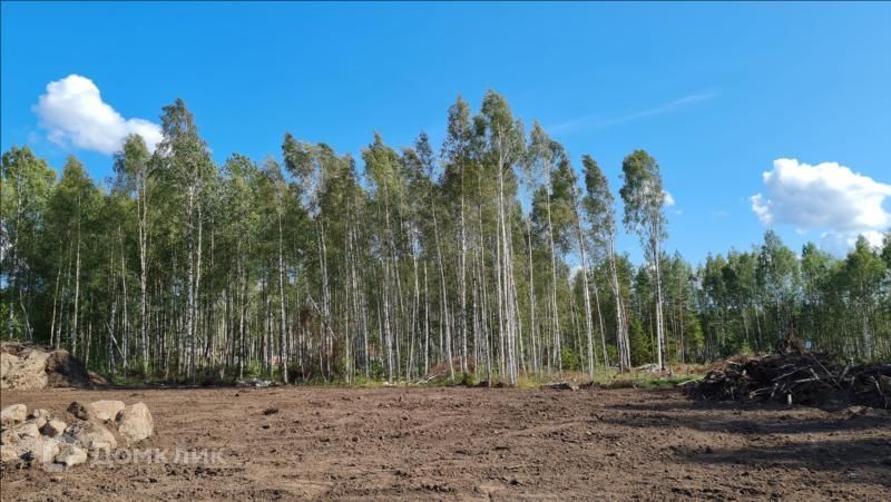 земля р-н Всеволожский СОСН Раздолье фото 3