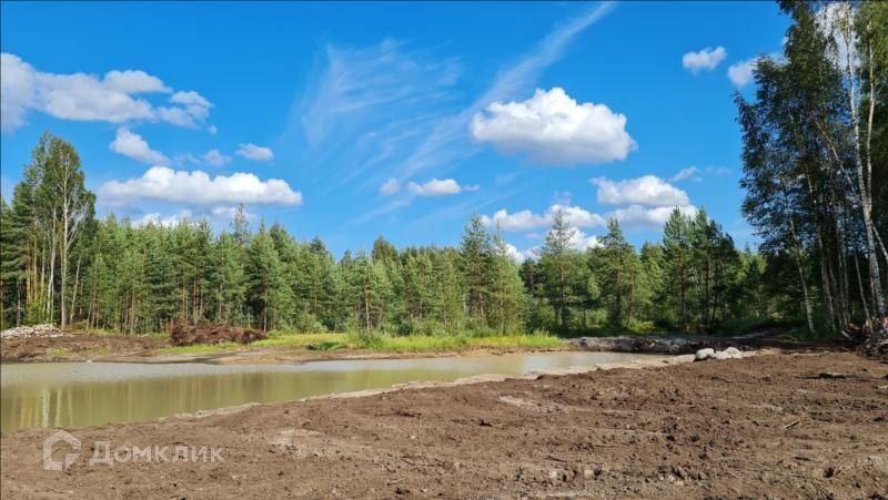 земля р-н Всеволожский СОСН Раздолье фото 2