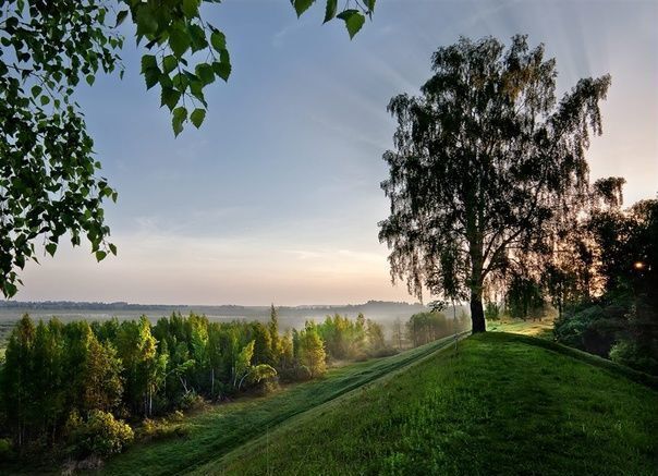 земля р-н Струго-Красненский д Подборовье Струги Красные фото 13