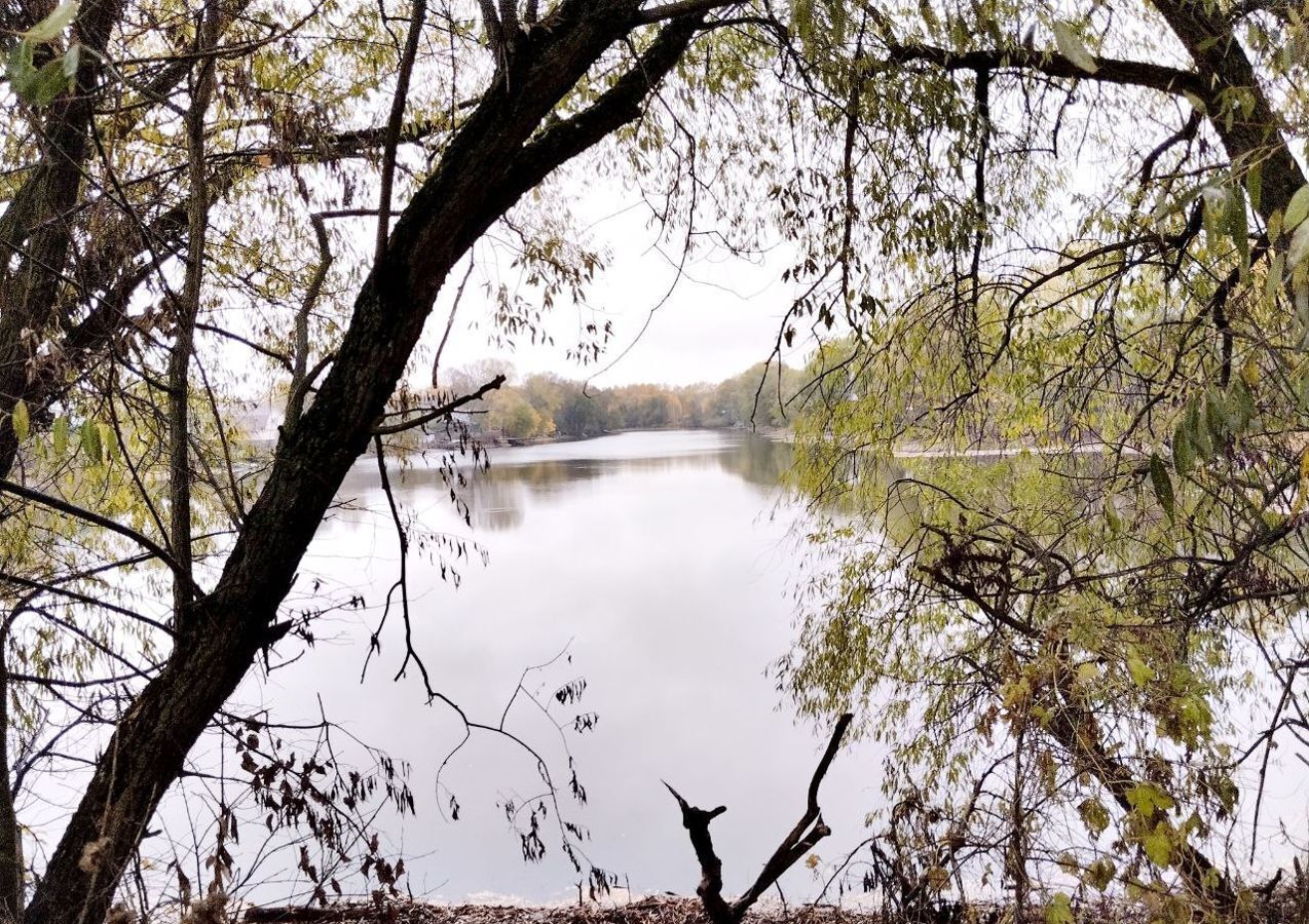 земля городской округ Раменский с Салтыково 9758 км, Бронницы, Новорязанское шоссе фото 16