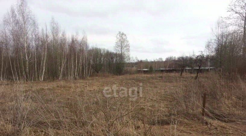 земля р-н Дзержинский п Якшуново ул Школьная Совхоз Чкаловский с пос фото 6