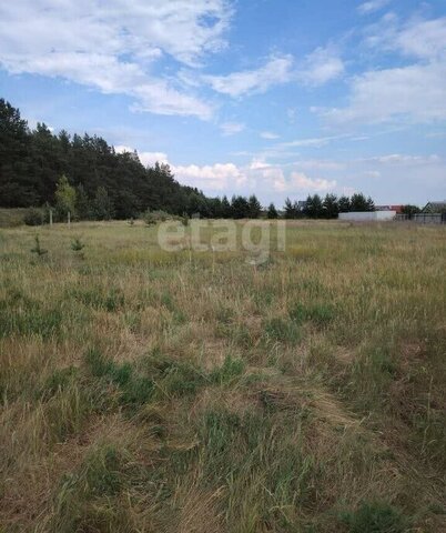 земля р-н Советский Малышево ул Ясногорская фото