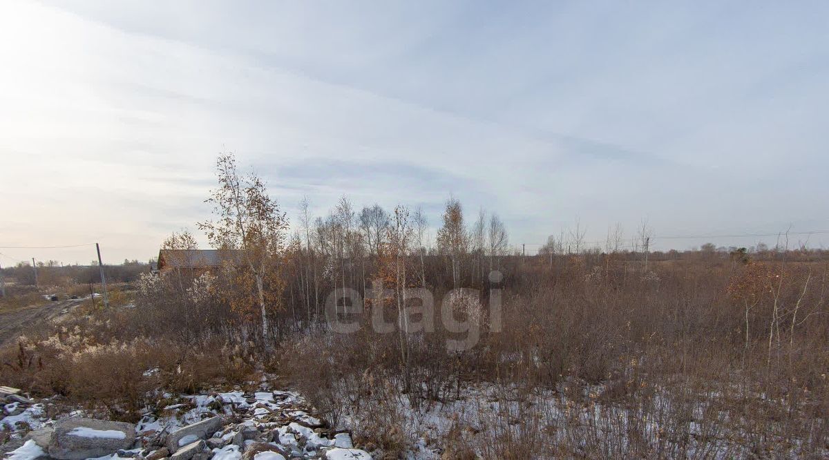 земля г Тюмень р-н Центральный снт Поле чудес пер. Кукольный фото 19