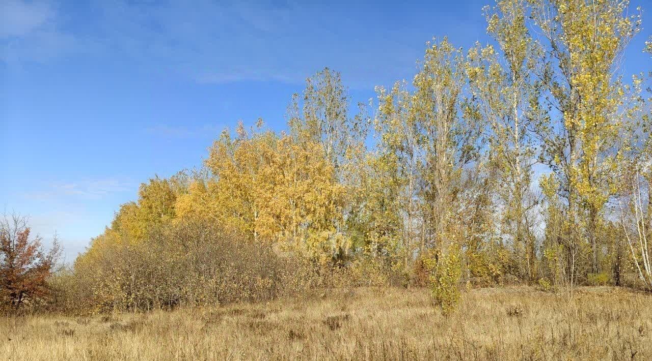 земля р-н Яковлевский садовое общество, Белогорье фото 6