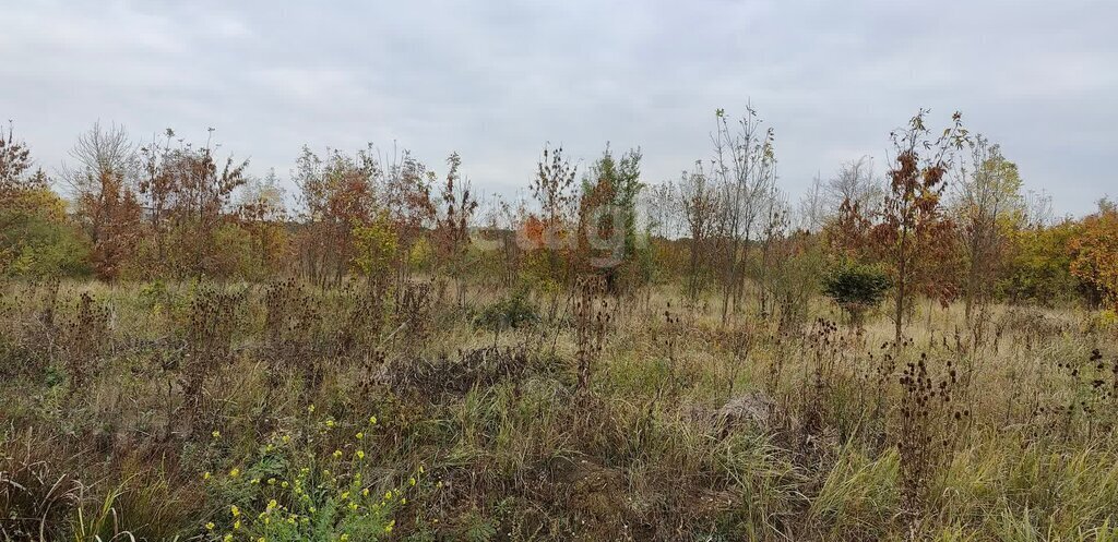 земля р-н Тахтамукайский п Новый Энемское городское поселение, Сад фото 7