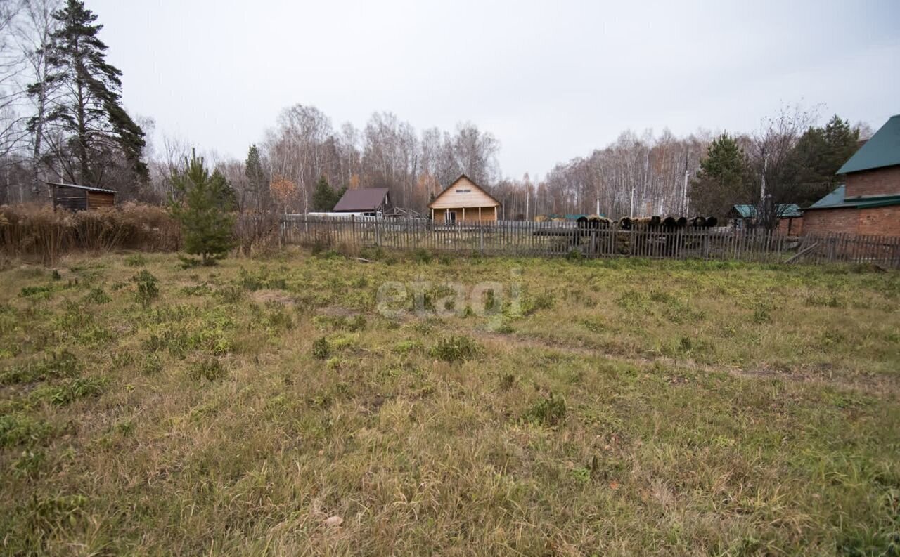 земля р-н Новосибирский снт Вера Барышевский сельсовет, Новосибирск фото 10