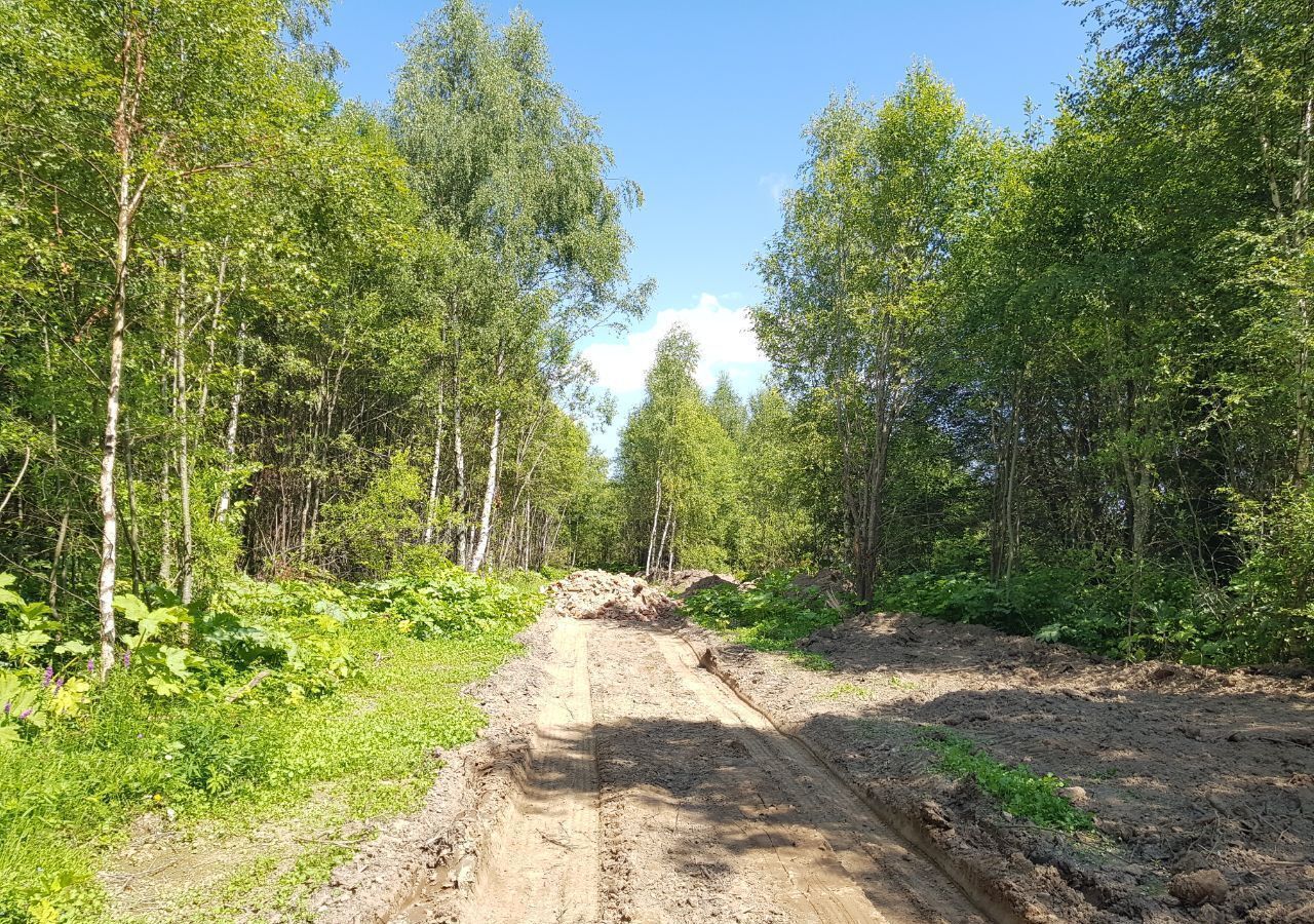 земля городской округ Рузский д Андрейково 9786 км, Новопетровское, Волоколамское шоссе фото 7