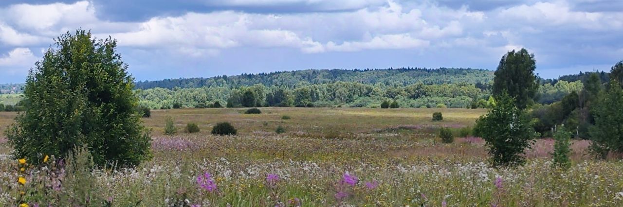 офис городской округ Солнечногорск д Мостки фото 1