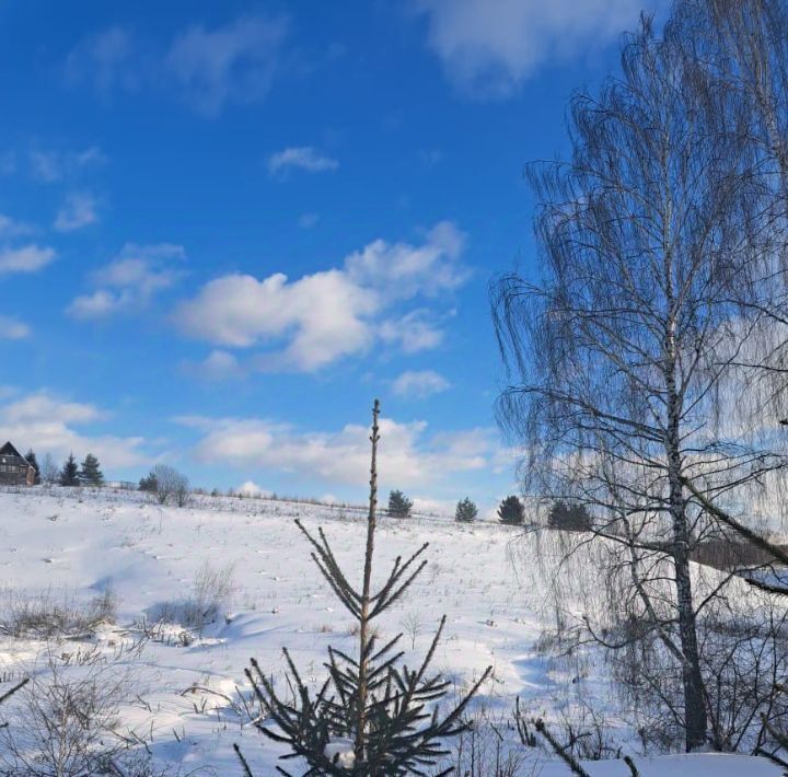 офис городской округ Ступино д Тютьково фото 1