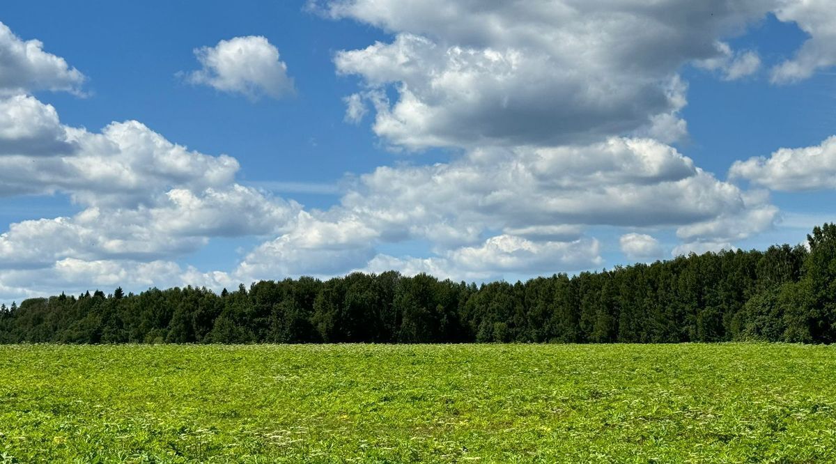 офис городской округ Солнечногорск д Мостки фото 1