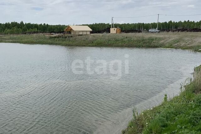 Тюмень городской округ, СНТ Светлое фото