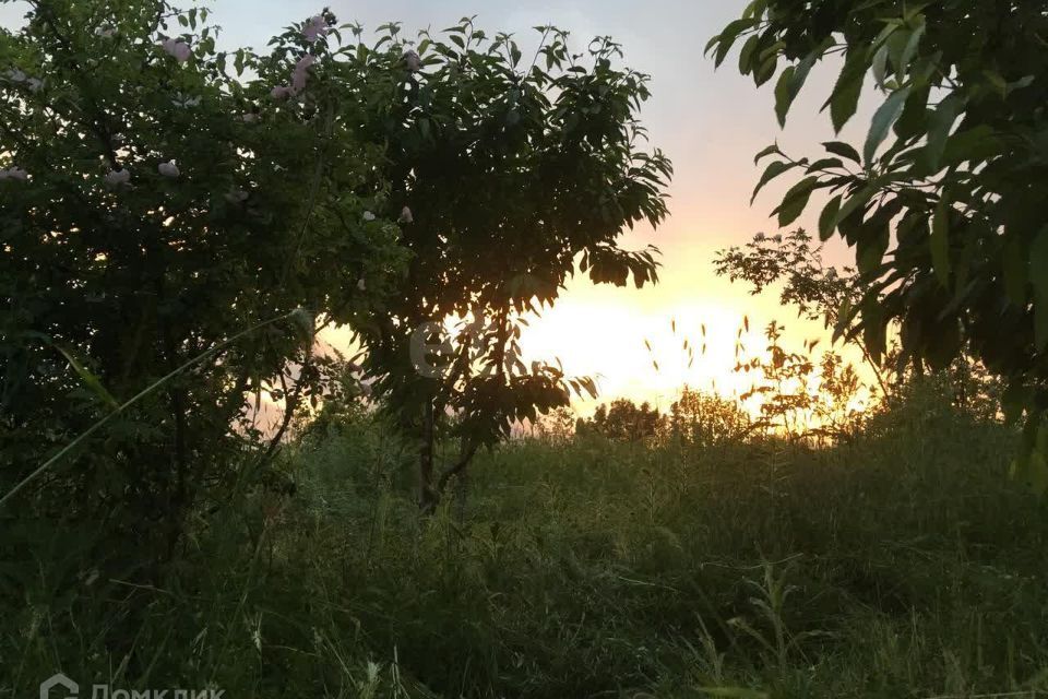 земля г Геленджик с Виноградное Геленджик городской округ, Хозяйственный корпус фото 3