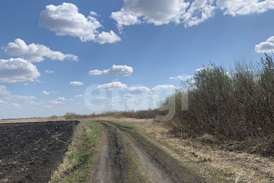 земля г Тюмень снт Агросад-Тюмень Тюмень городской округ фото 7