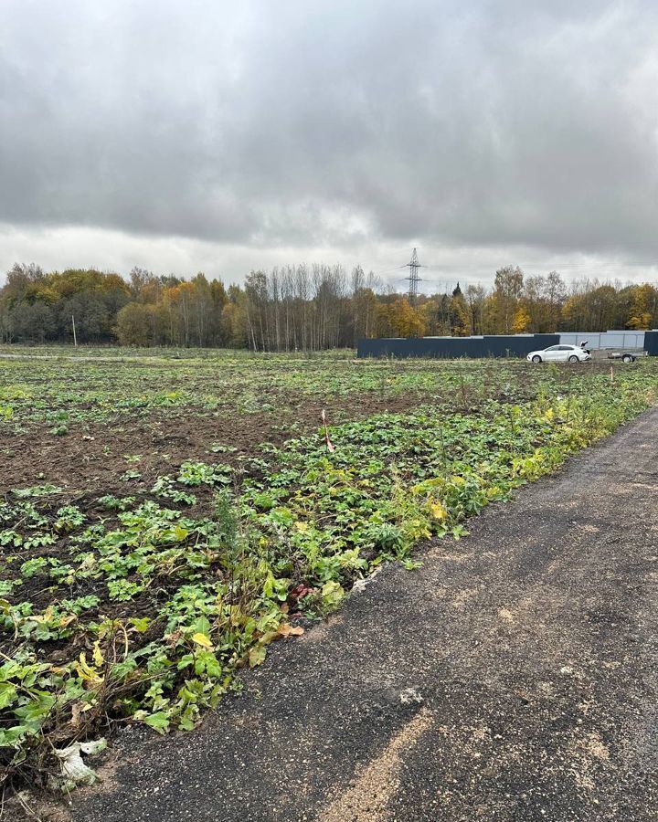 земля городской округ Дмитровский коттеджный поселок «Сорочаны» 9786 км, г. о. Клин, Клин, Рогачёвское шоссе фото 6