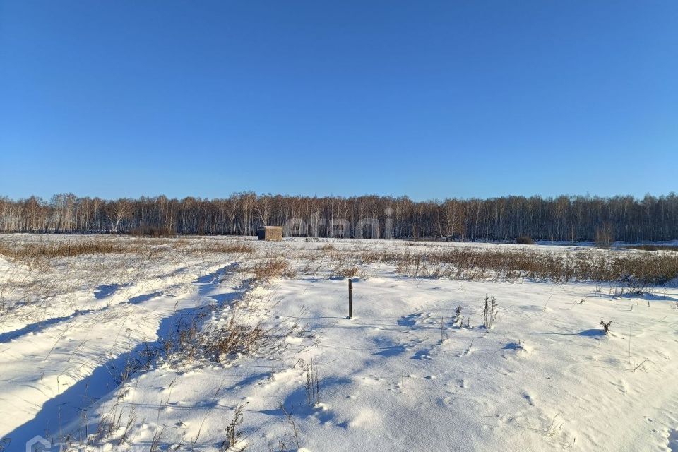 земля р-н Сосновский Полетаевское сельское поселение фото 3