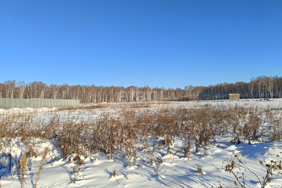 земля р-н Сосновский Полетаевское сельское поселение фото 4