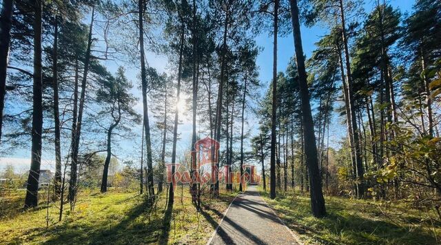 Следневское муниципальное образование, Микрорайон Парковый СНТ фото