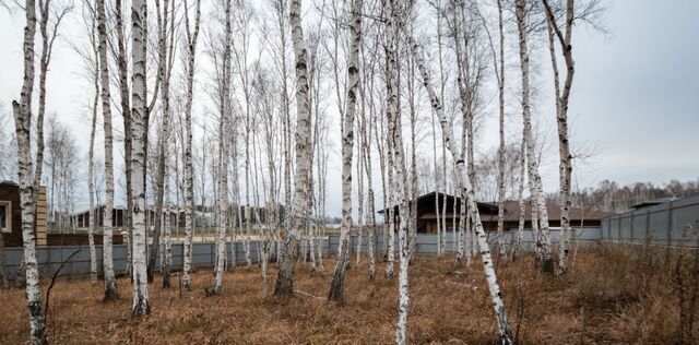 ул Пражская Молодежное муниципальное образование фото