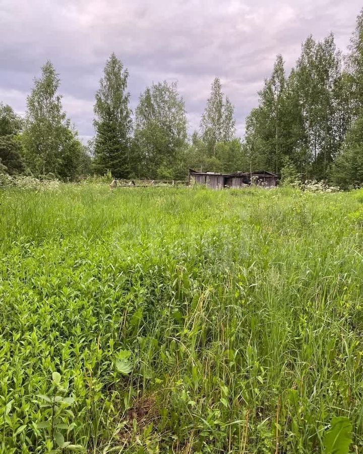 земля р-н Вологодский снт Радужное Сохатый, 103, Вологда фото 3