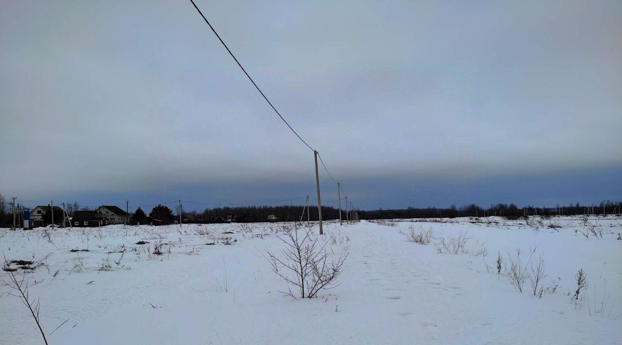 земля р-н Новгородский д Зарелье ул Радужная Савинское с/пос фото 12